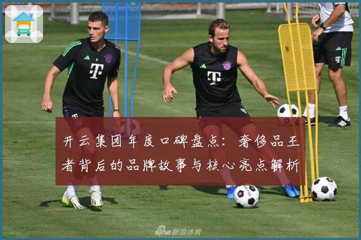 开云集团年度口碑盘点:奢侈品王者背后的品牌故事与核心亮点解析